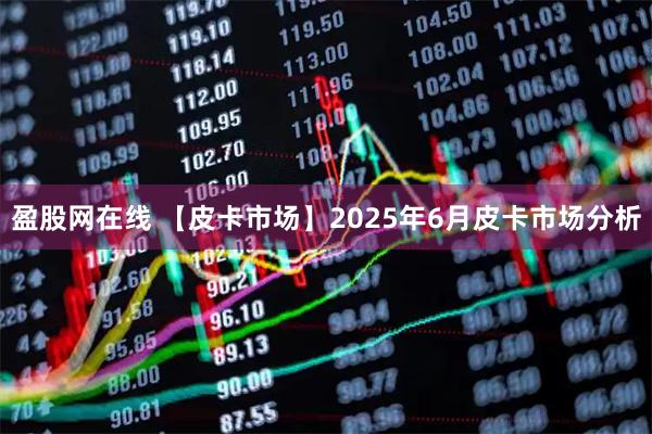 盈股网在线 【皮卡市场】2025年6月皮卡市场分析