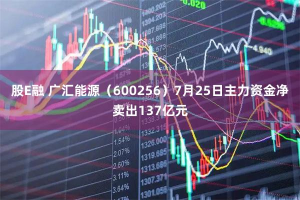 股E融 广汇能源(600256)7月25日主力资金净卖出137亿元