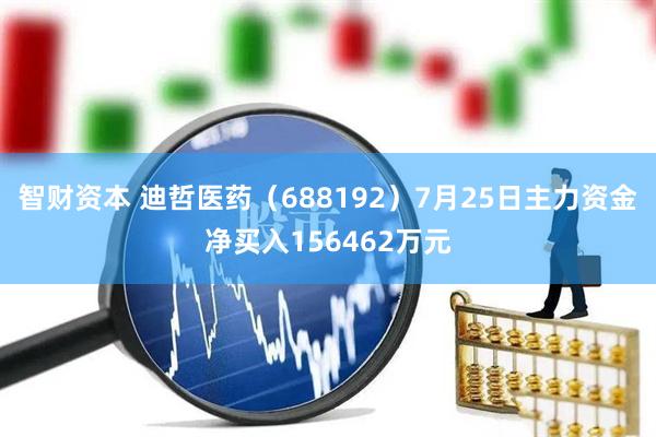 智财资本 迪哲医药（688192）7月25日主力资金净买入156462万元