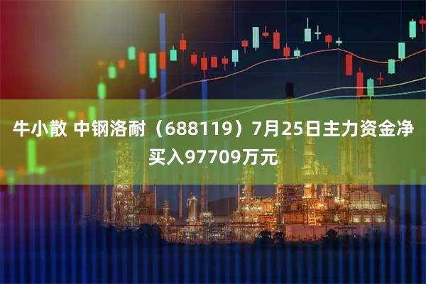 牛小散 中钢洛耐（688119）7月25日主力资金净买入97709万元